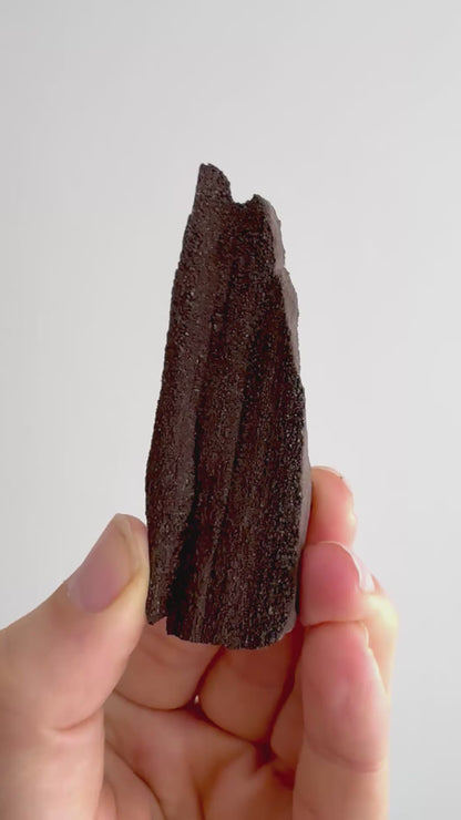 Gepermineraliseerd hout bedekt met druzykwarts (3,39 inch) uit het Eoceen, Duitsland
