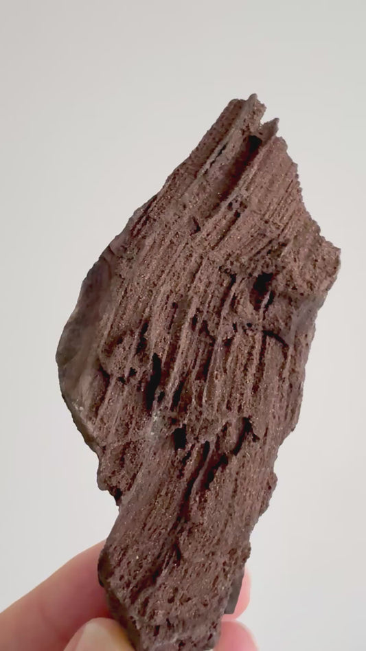 Permineralized Wood Covered In Druzy Quartz (4.43") from Eocene, Germany
