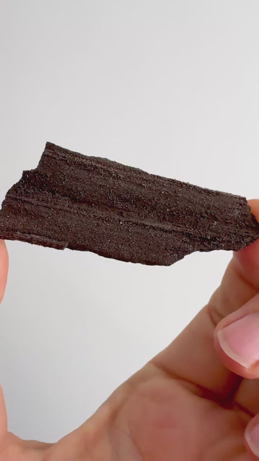 Permineralized Wood Covered In Druzy Quartz (2.67") from Eocene, Germany