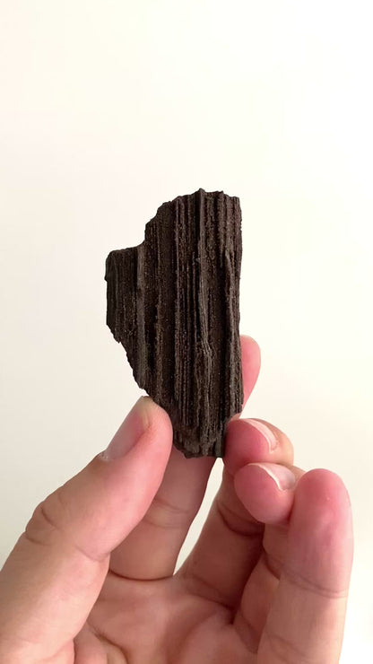 Permineralized Wood Covered In Druzy Quartz (2.53") - Eocene, Germany