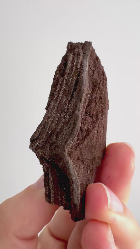 Permineralized Wood Covered In Druzy Quartz (2.82") from Eocene, Germany