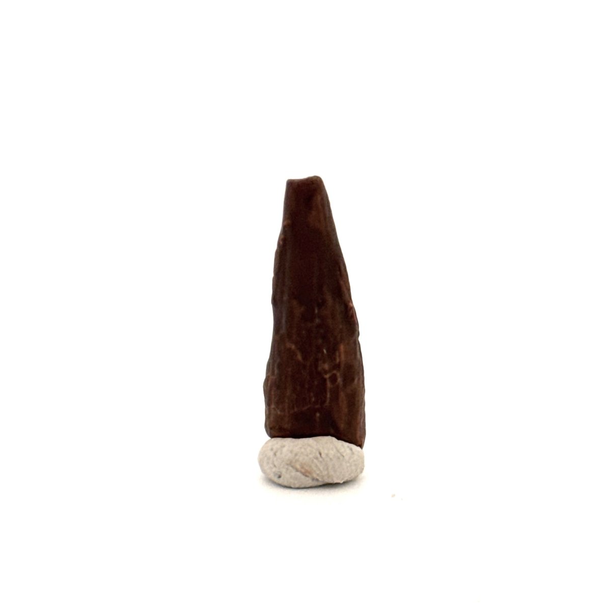 Pterosaur fossil tooth (1.00") from Cretaceous, Morocco - FossilsAndMore