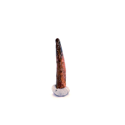 Pterosaur fossil tooth (1.07") - Late Cretaceous, Morocco - FossilsAndMore
