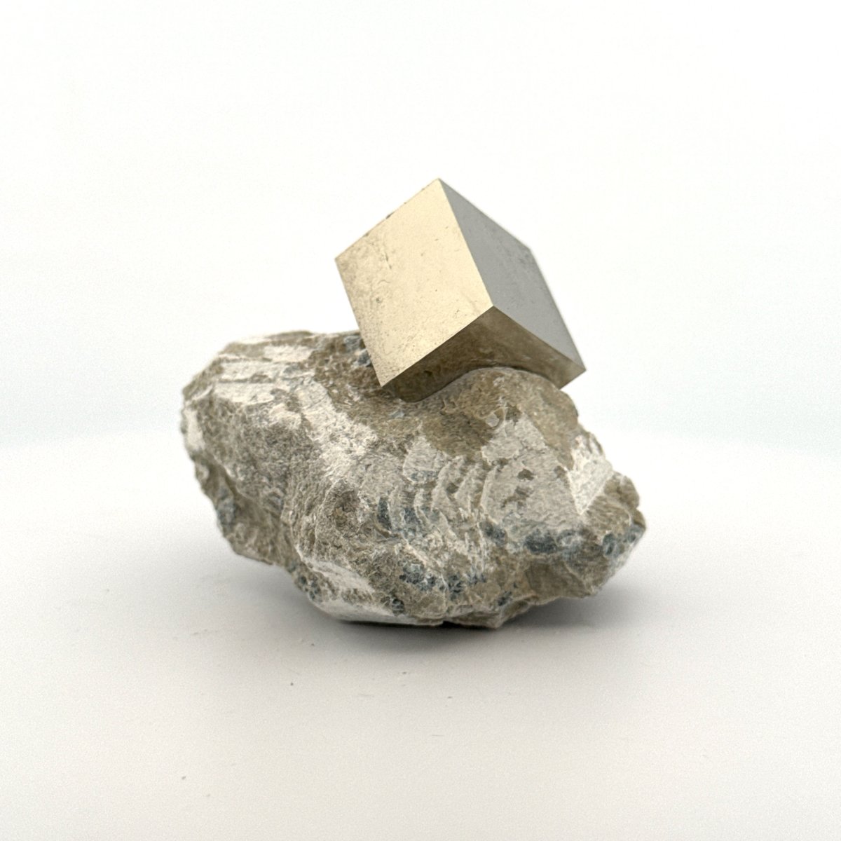 Pyrite on Matrix from Navajún a Natural Cubic Crystal (03) - FossilsAndMore
