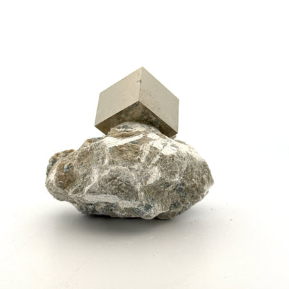 Pyrite on Matrix from Navajún a Natural Cubic Crystal (03) - FossilsAndMore