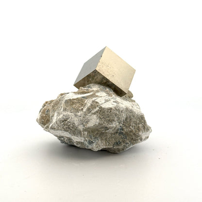 Pyrite on Matrix from Navajún a Natural Cubic Crystal (03) - FossilsAndMore