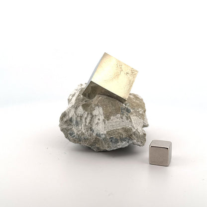 Pyrite on Matrix from Navajún a Natural Cubic Crystal (03) - FossilsAndMore