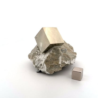 Pyrite on Matrix from Navajún a Natural Cubic Crystal (04) - FossilsAndMore