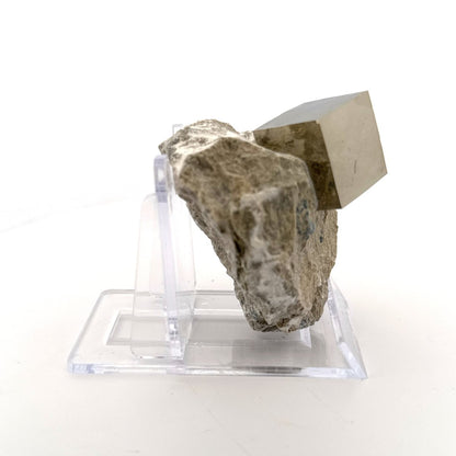 Pyrite on Matrix from Navajún a Natural Cubic Crystal (04) - FossilsAndMore