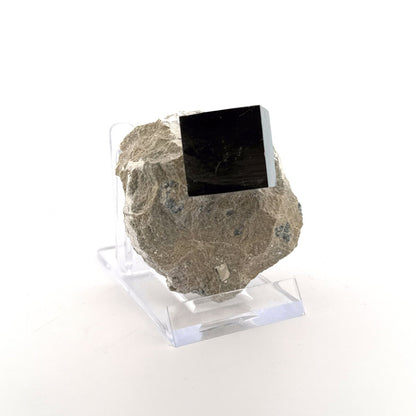 Pyrite on Matrix from Navajún a Natural Cubic Crystal (04) - FossilsAndMore