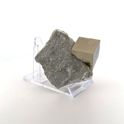 Pyrite on Matrix from Navajún a Natural Cubic Crystal (05) - FossilsAndMore