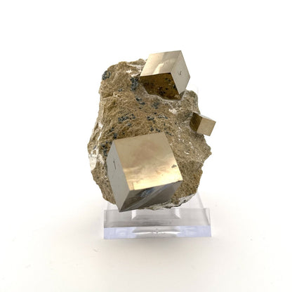 Pyrite on Matrix from Navajún a Natural Cubic Crystal (08) - FossilsAndMore