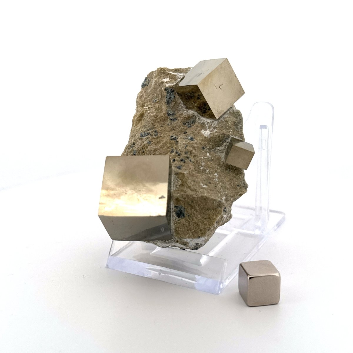 Pyrite on Matrix from Navajún a Natural Cubic Crystal (08) - FossilsAndMore