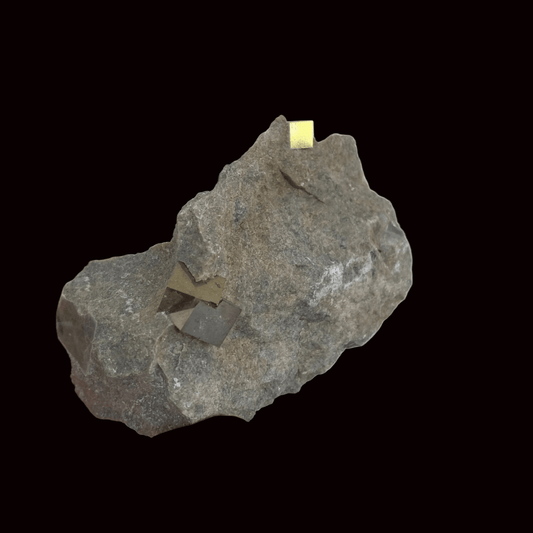 Pyrite on matrix - Navajun, Spain - FossilsAndMore