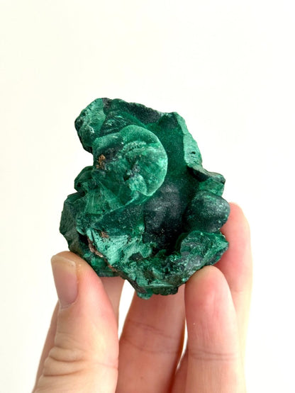 Raw Malachite Mineral (150 Grams) – Natural Copper Carbonate - FossilsAndMore
