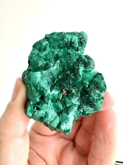 Raw Malachite Mineral (150 Grams) – Natural Copper Carbonate - FossilsAndMore