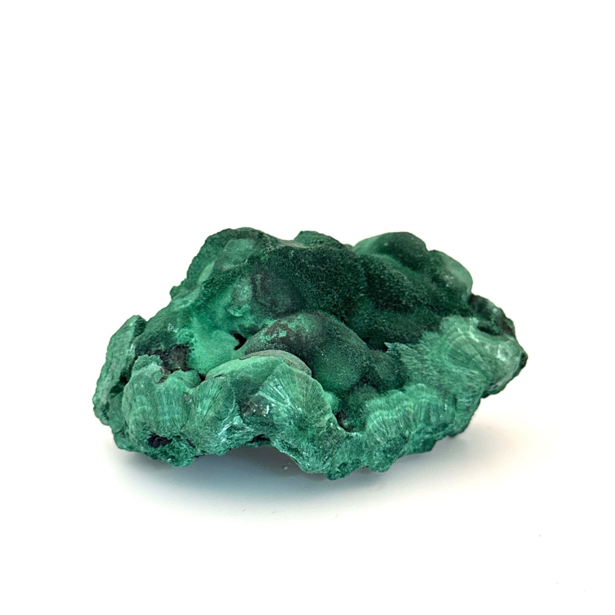 Raw Malachite Mineral (280 Grams) – Natural Copper Carbonate - FossilsAndMore
