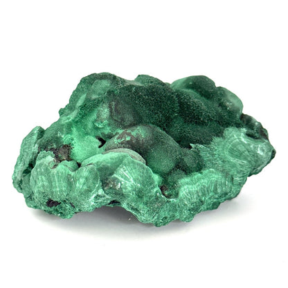 Raw Malachite Mineral (280 Grams) – Natural Copper Carbonate - FossilsAndMore