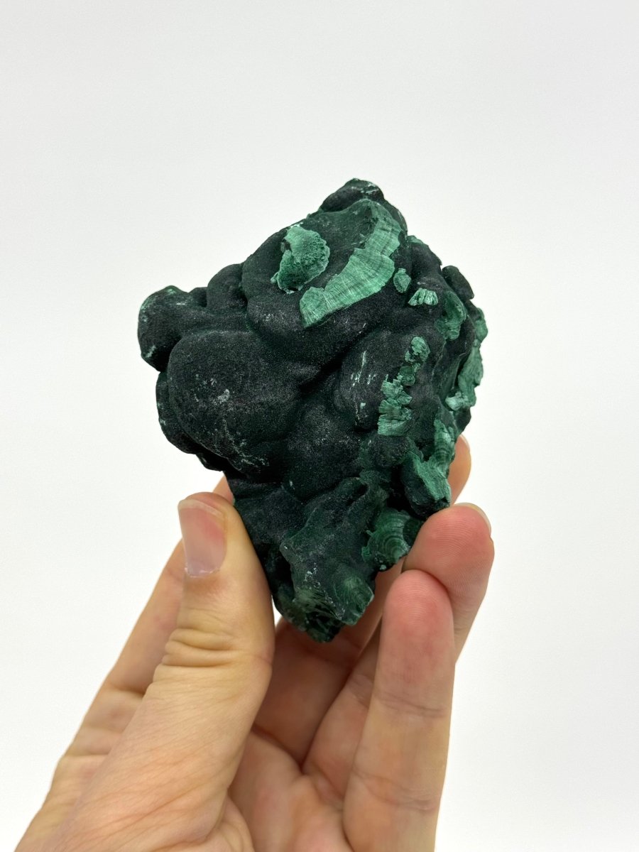 Raw Malachite Mineral (337 Grams) – Natural Copper Carbonate - FossilsAndMore