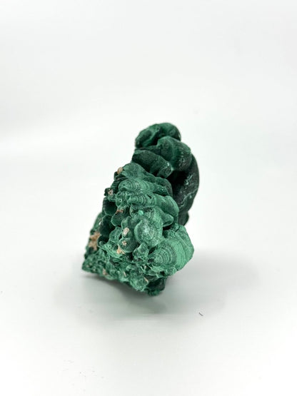 Raw Malachite Mineral (337 Grams) – Natural Copper Carbonate - FossilsAndMore