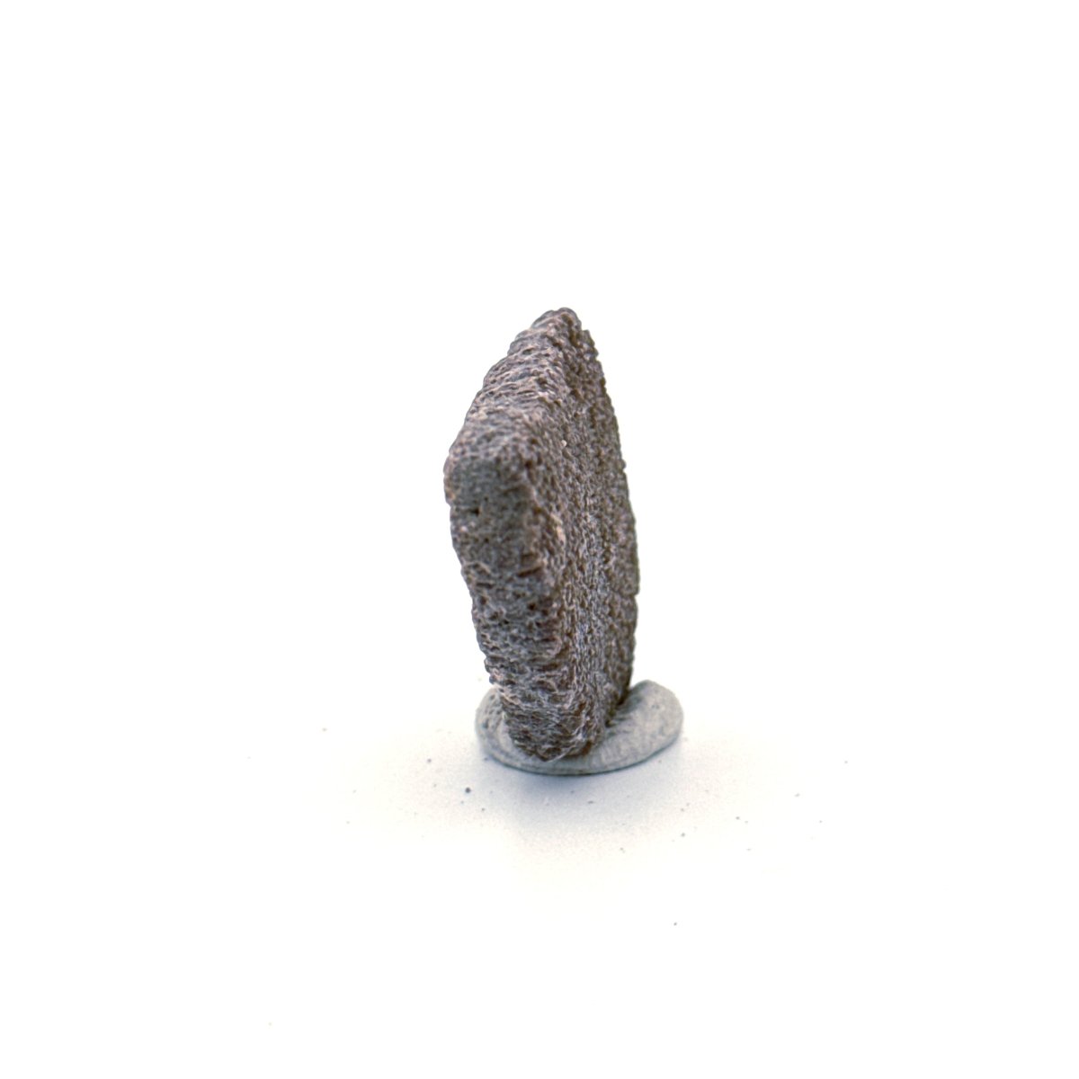 Saltasaurus Dinosaur Eggshell Fossil (1.30") from Cretaceous, Argentina - FossilsAndMore