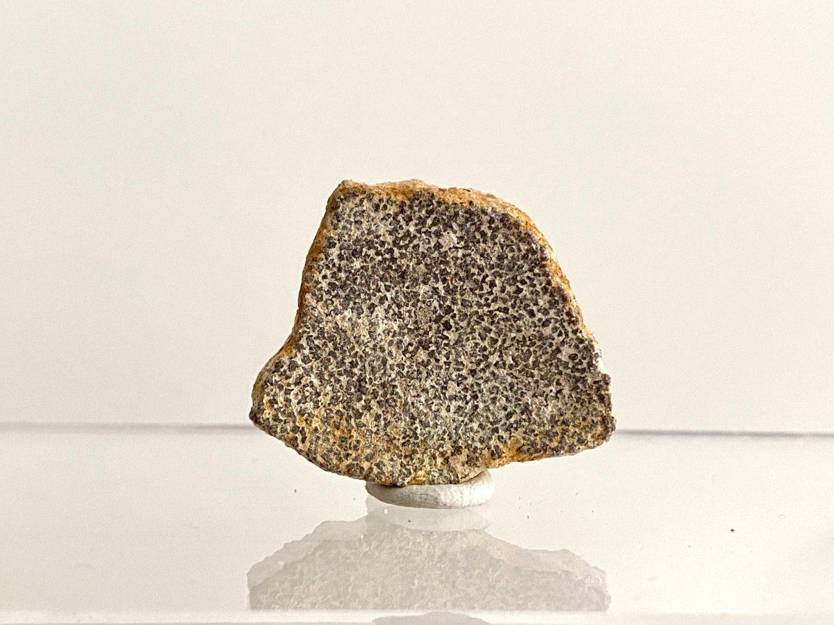 Saltasaurus Dinosaur Eggshell Fossil (1.31") - Cretaceous, Argentina - FossilsAndMore