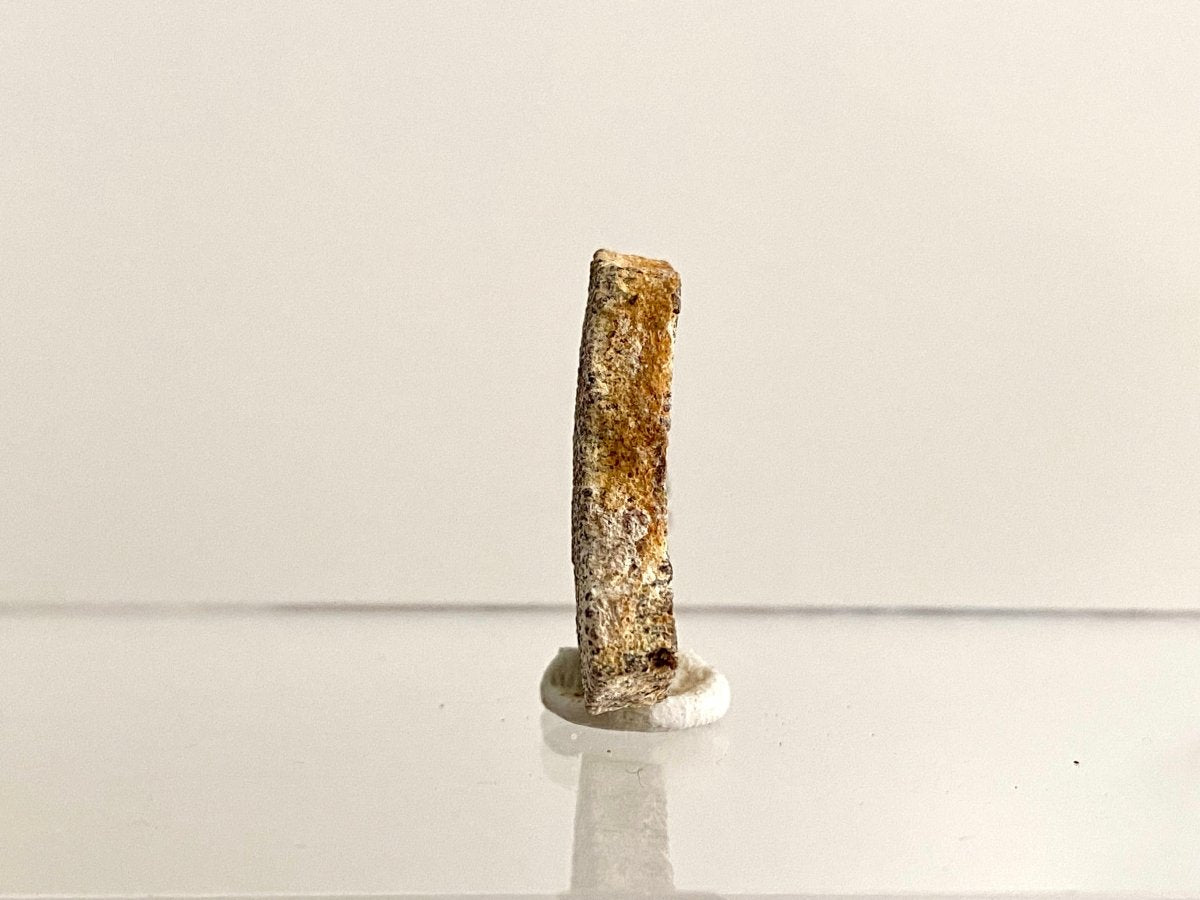 Saltasaurus Dinosaur Eggshell Fossil (1.31") - Cretaceous, Argentina - FossilsAndMore