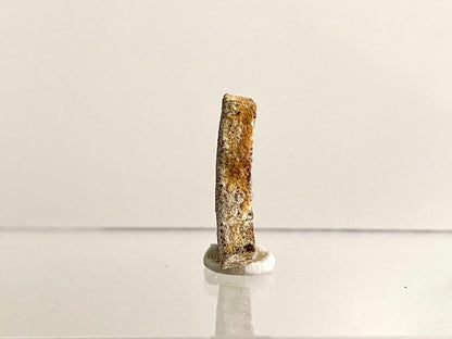 Saltasaurus Dinosaur Eggshell Fossil (1.31") - Cretaceous, Argentina - FossilsAndMore