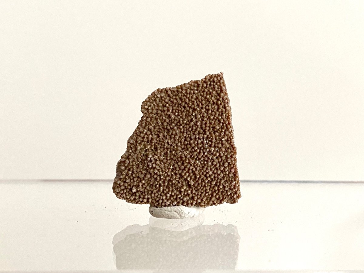 Saltasaurus Dinosaur Eggshell Fossil (1.32") - Cretaceous, Argentina - FossilsAndMore