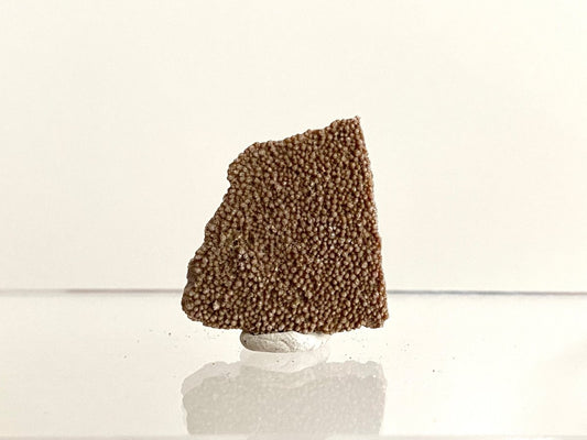 Saltasaurus Dinosaur Eggshell Fossil (1.32") - Cretaceous, Argentina - FossilsAndMore