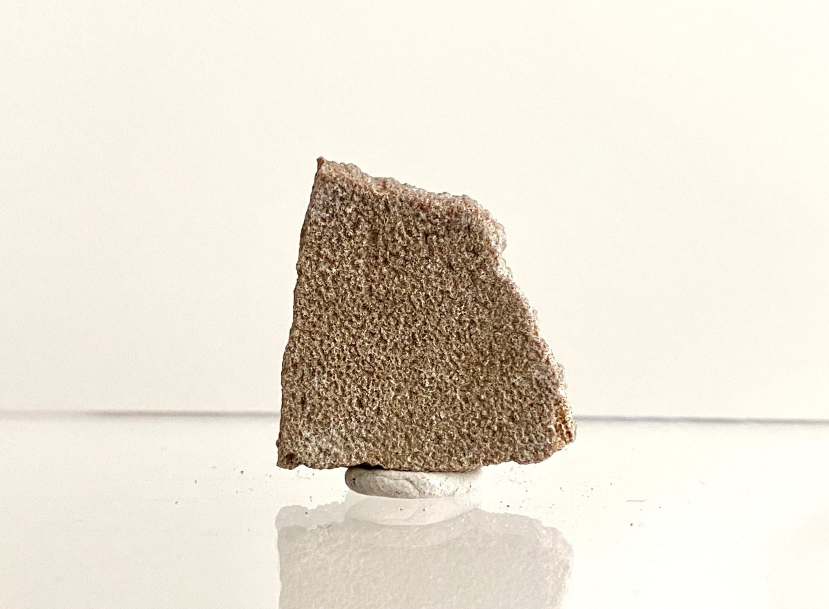 Saltasaurus Dinosaur Eggshell Fossil (1.32") - Cretaceous, Argentina - FossilsAndMore