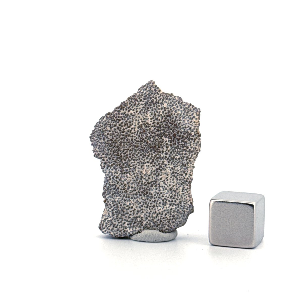 Saltasaurus Dinosaur Eggshell Fossil (1.33") from Cretaceous, Argentina - FossilsAndMore