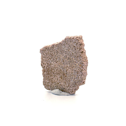 Saltasaurus Dinosaur Eggshell Fossil (1.34") from Cretaceous, Argentina - FossilsAndMore