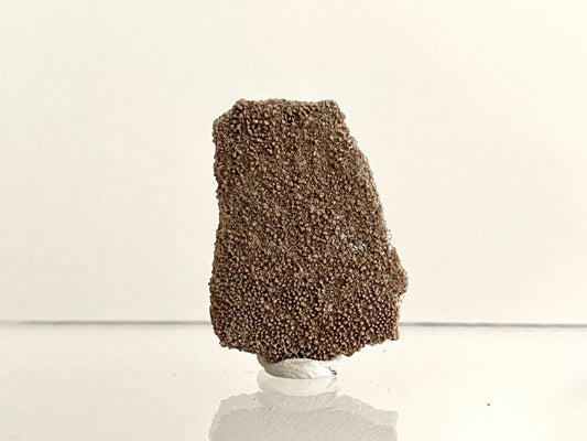 Saltasaurus Dinosaur Eggshell Fossil (1.46") - Cretaceous, Argentina - FossilsAndMore