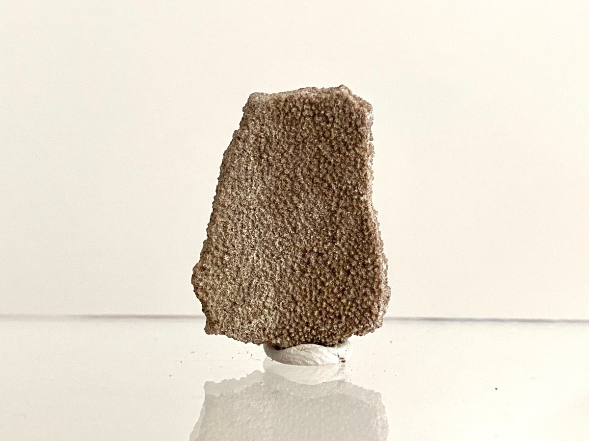 Saltasaurus Dinosaur Eggshell Fossil (1.46") - Cretaceous, Argentina - FossilsAndMore