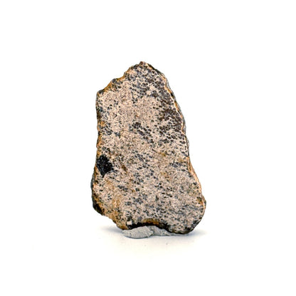 Saltasaurus Dinosaur Eggshell Fossil (1.48") from Cretaceous, Argentina - FossilsAndMore
