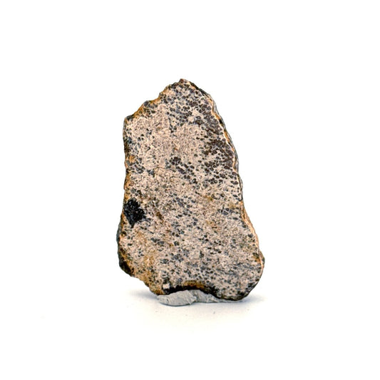 Saltasaurus Dinosaur Eggshell Fossil (1.48") from Cretaceous, Argentina - FossilsAndMore