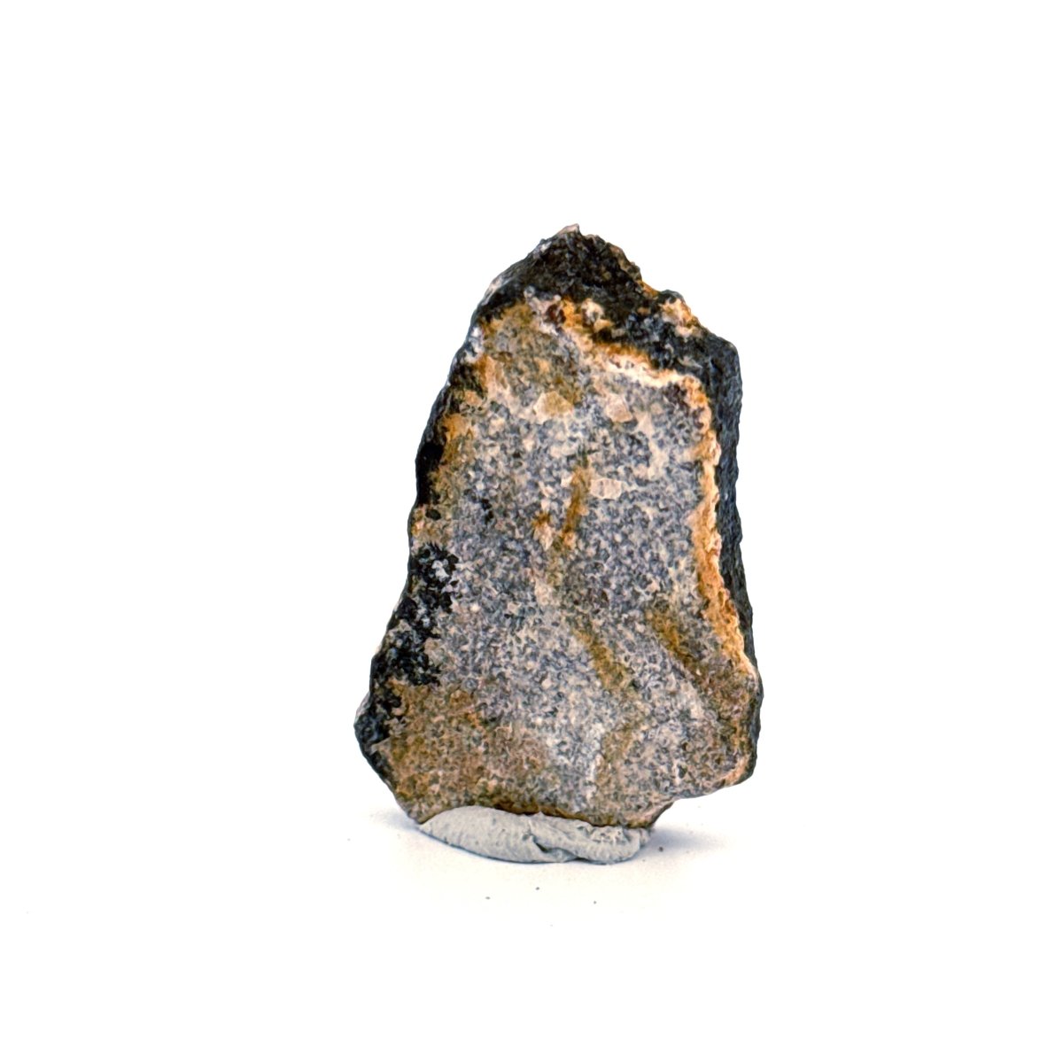 Saltasaurus Dinosaur Eggshell Fossil (1.48") from Cretaceous, Argentina - FossilsAndMore