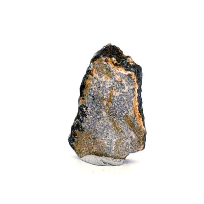 Saltasaurus Dinosaur Eggshell Fossil (1.48") from Cretaceous, Argentina - FossilsAndMore