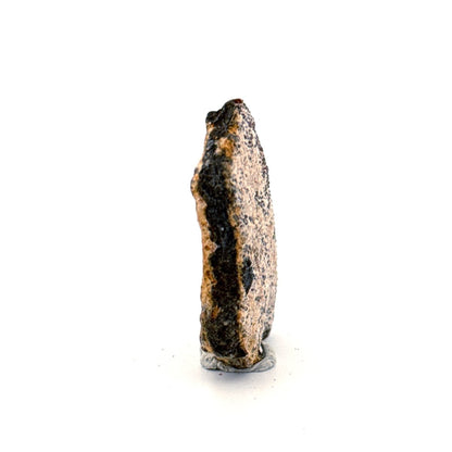 Saltasaurus Dinosaur Eggshell Fossil (1.48") from Cretaceous, Argentina - FossilsAndMore