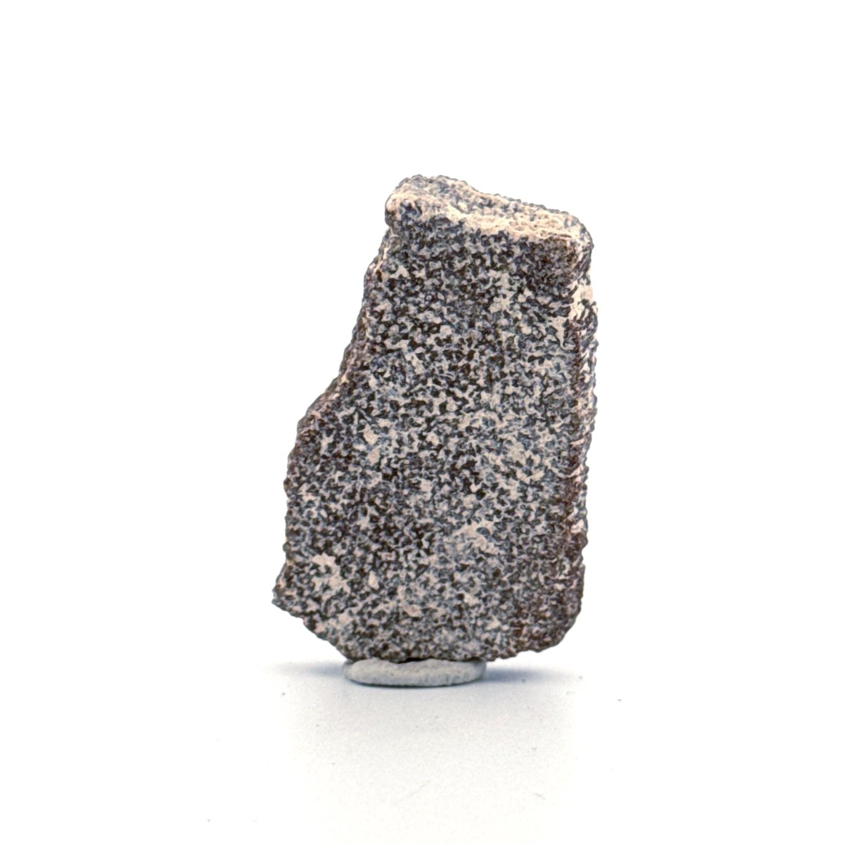 Saltasaurus Dinosaur Eggshell Fossil (1.51") from Cretaceous, Argentina - FossilsAndMore