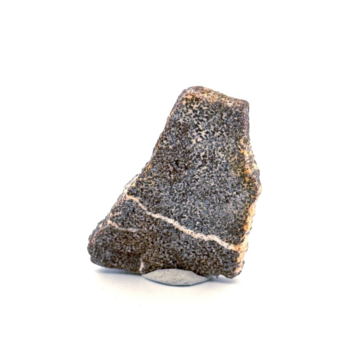 Saltasaurus Dinosaur Eggshell Fossil (1.66") from Cretaceous, Argentina - FossilsAndMore