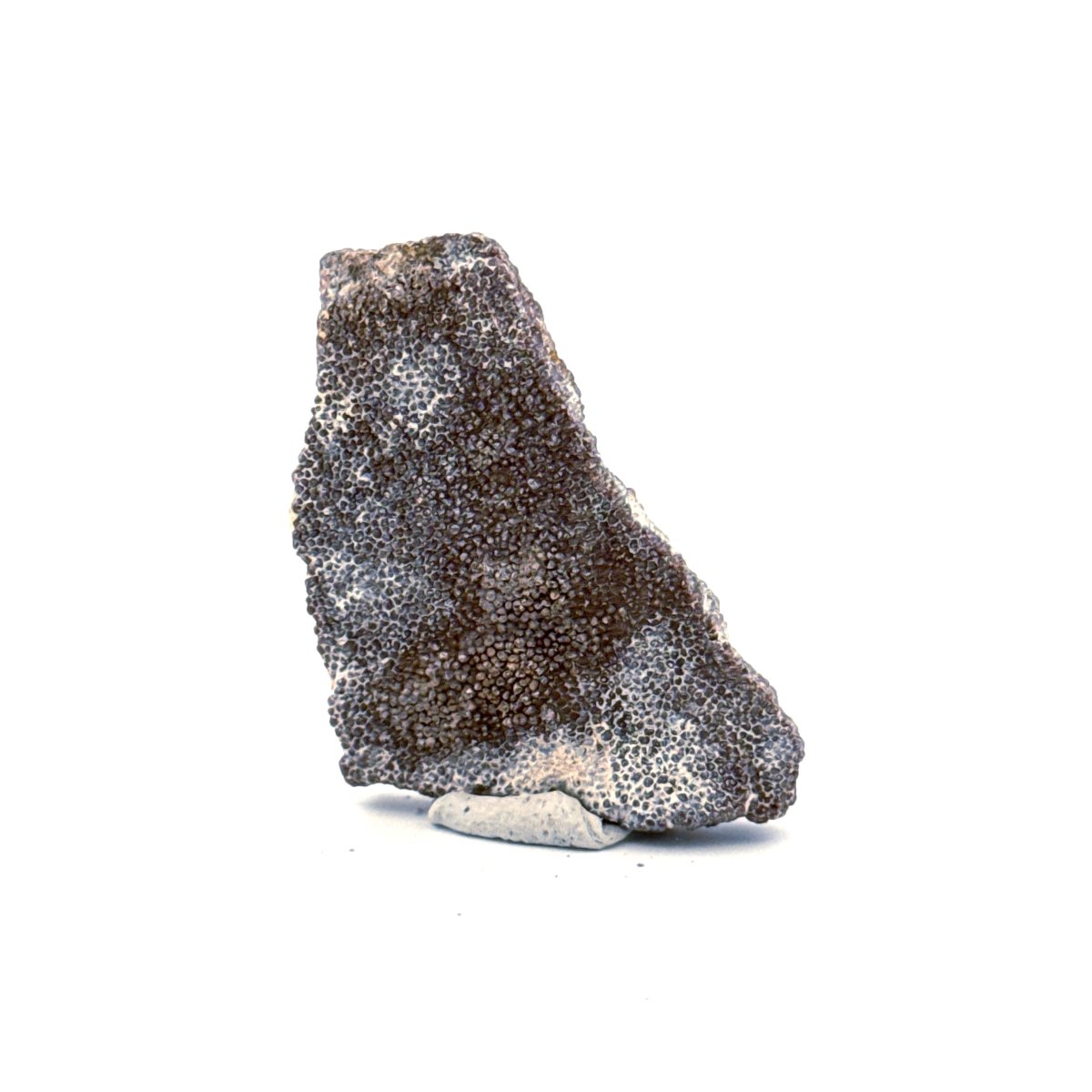 Saltasaurus Dinosaur Eggshell Fossil (1.66") from Cretaceous, Argentina - FossilsAndMore