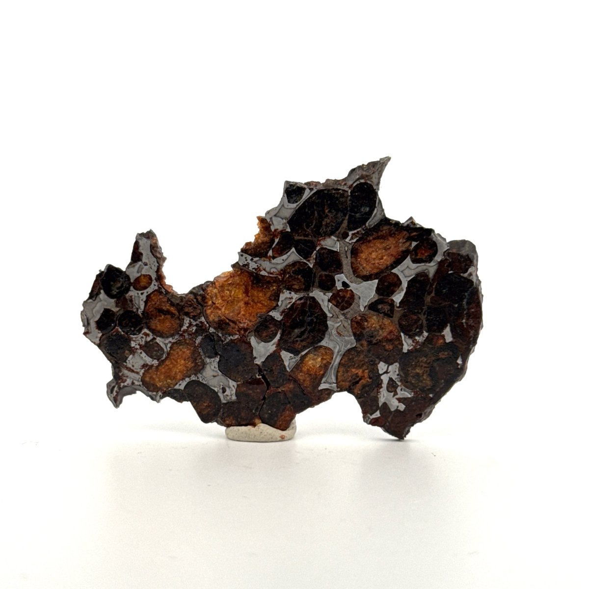 Sericho Pallasite Meteorite from Kenya | 12,5 Grams - FossilsAndMore