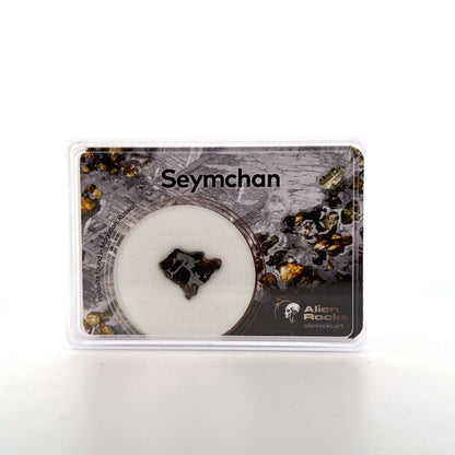 Seymchan Pallasite Meteorite from Russia | 0.88 Grams - FossilsAndMore