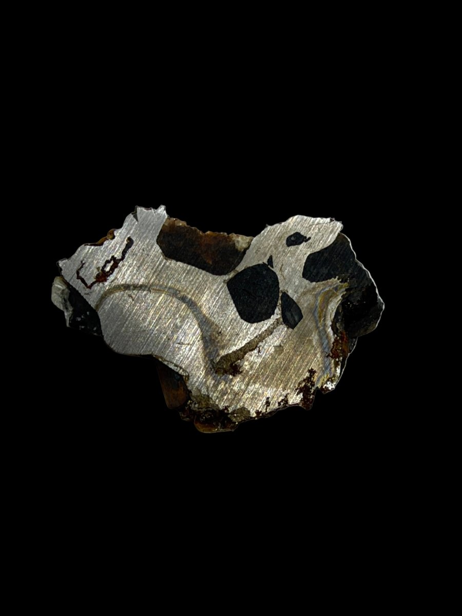 Seymchan Pallasite Meteorite from Russia | 1.26 Grams - FossilsAndMore