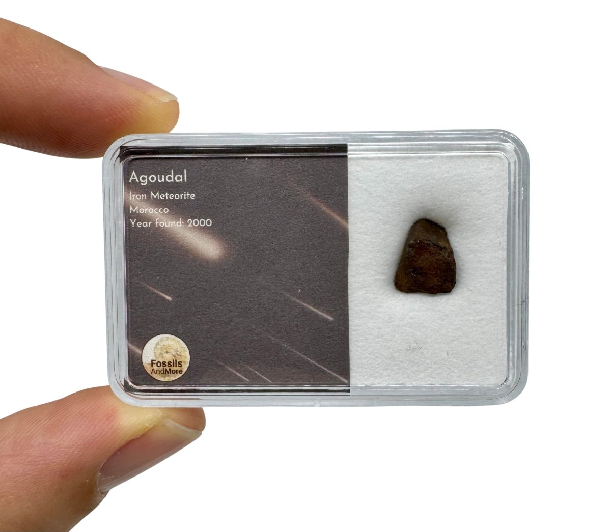 Small Agoudal iron Meteorite fragment from Morocco in Gift Box - FossilsAndMore