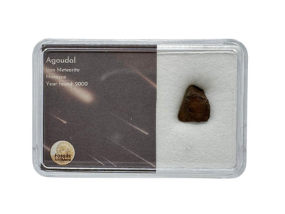 Small Agoudal iron Meteorite fragment from Morocco in Gift Box - FossilsAndMore