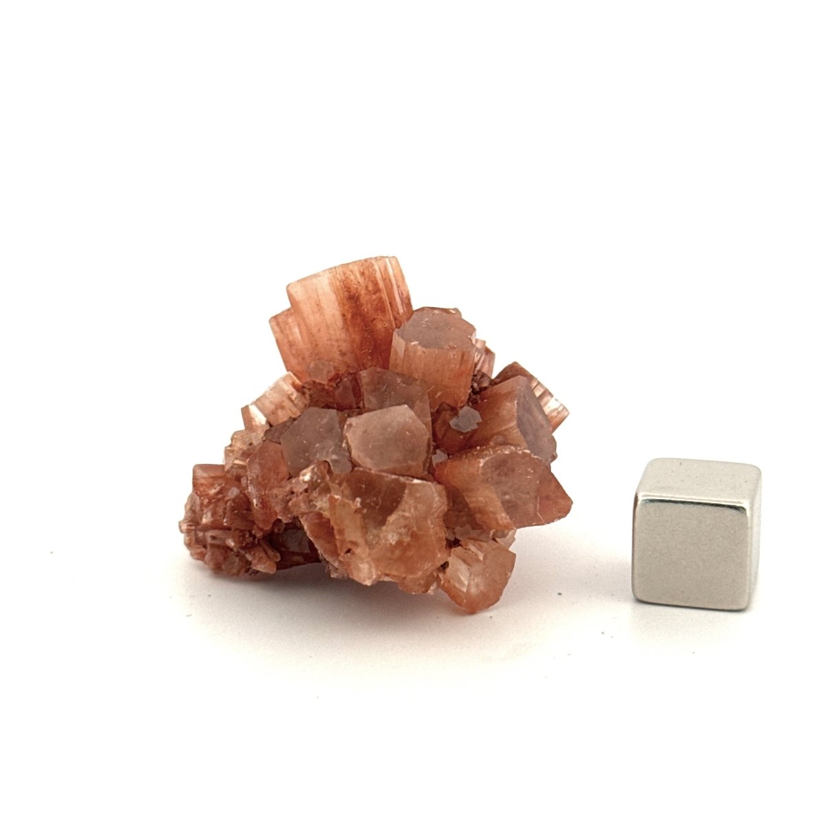 Small Aragonite mineral cluster from Morocco - FossilsAndMore