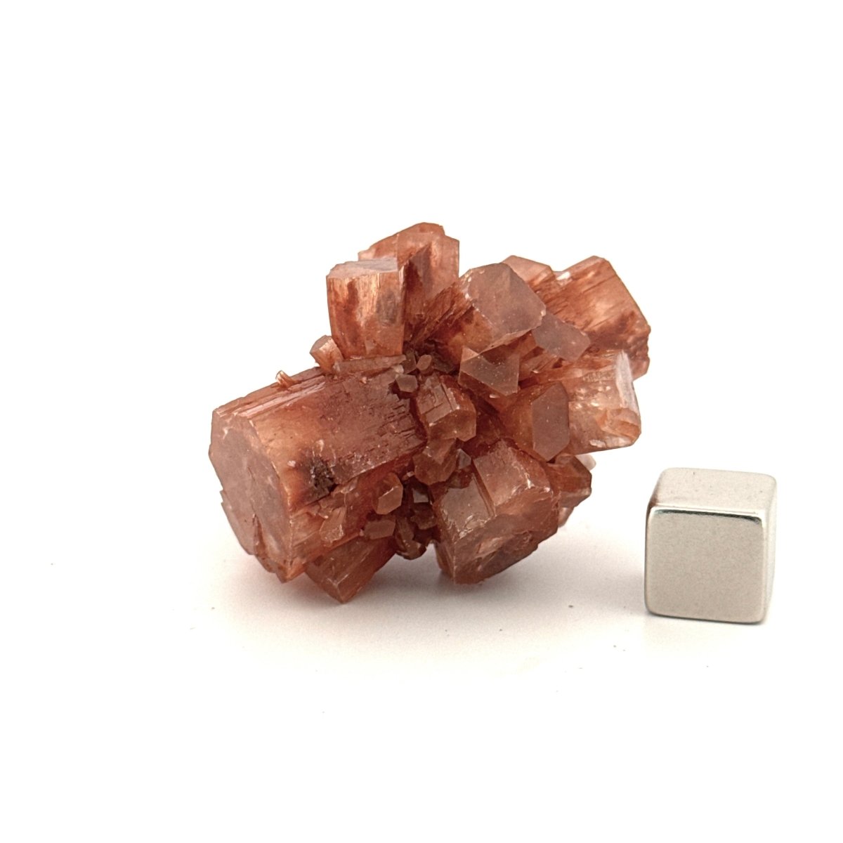 Small Aragonite mineral cluster from Morocco - FossilsAndMore